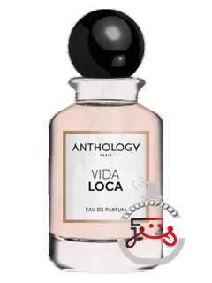 ویدا لوکا آنتولوژی | vida loca anthology